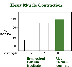 Heart Muscle Contraction